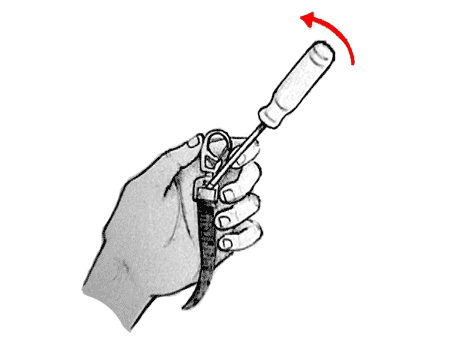 Figure 3 ©  SW